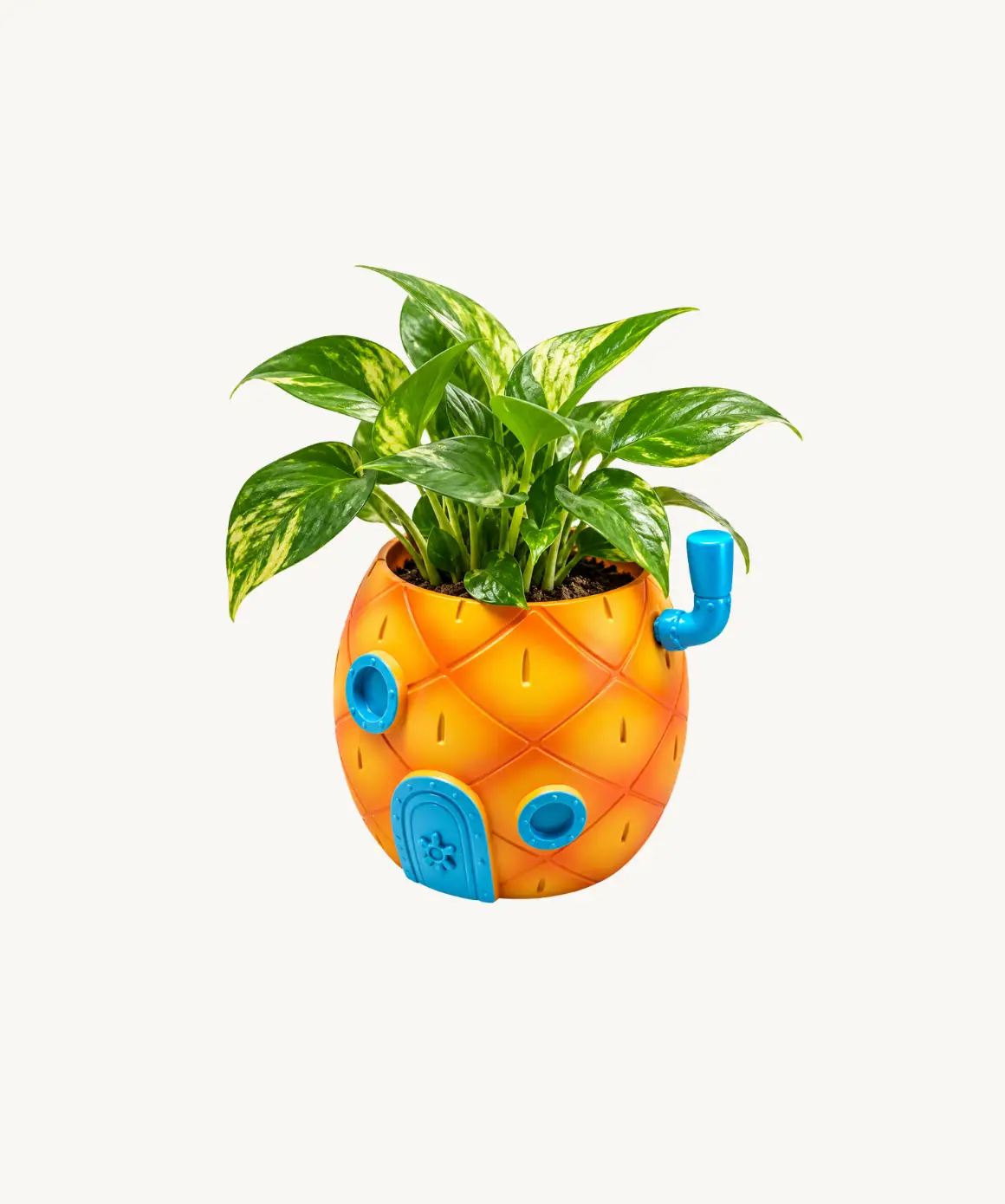 SpongeBob Pineapple House Ceramic Planter / Storage